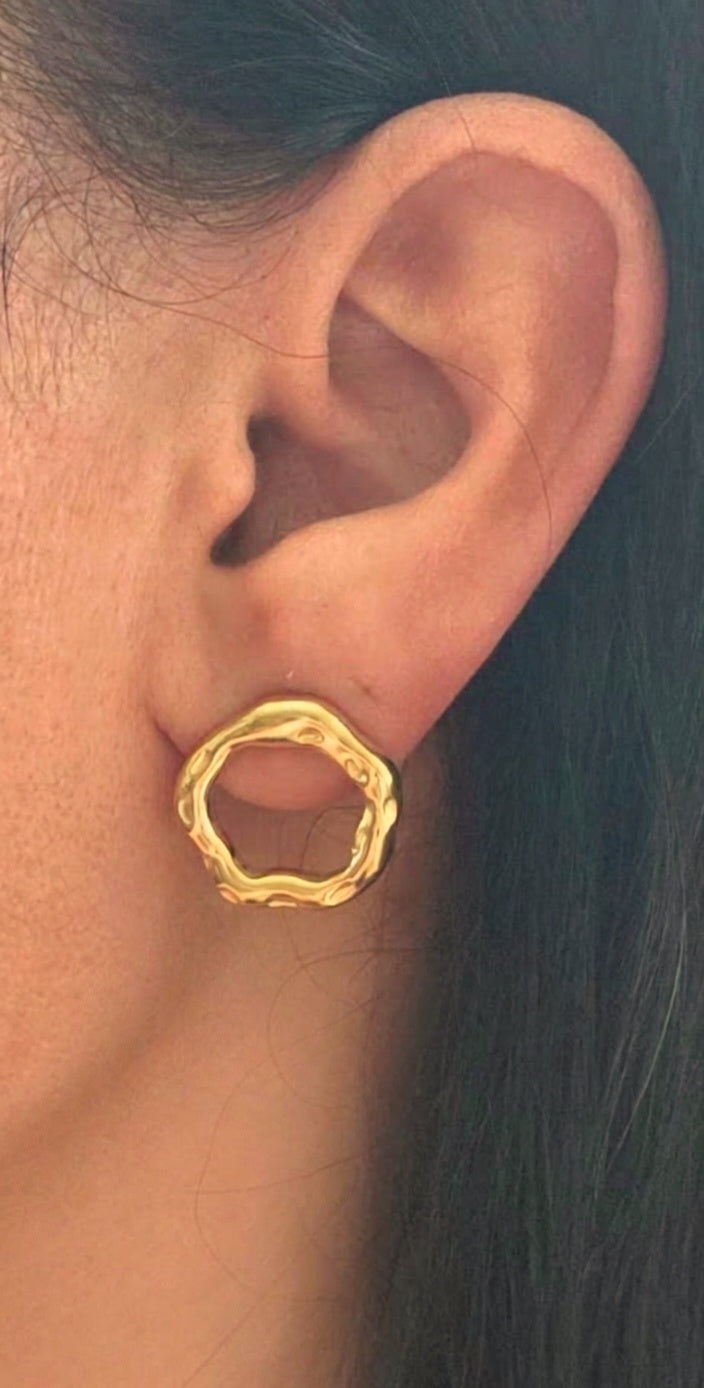Sculpted Shimmer Earrings