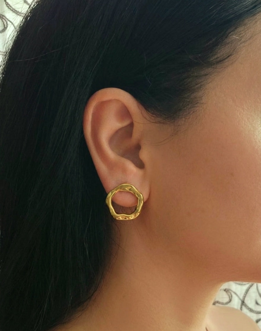 Sculpted Shimmer Earrings